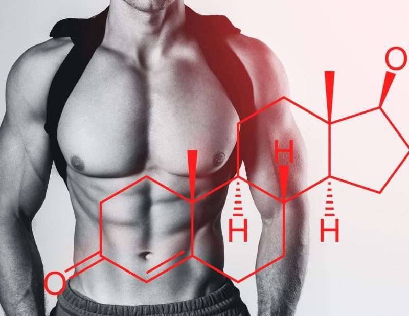 testosterone steroid