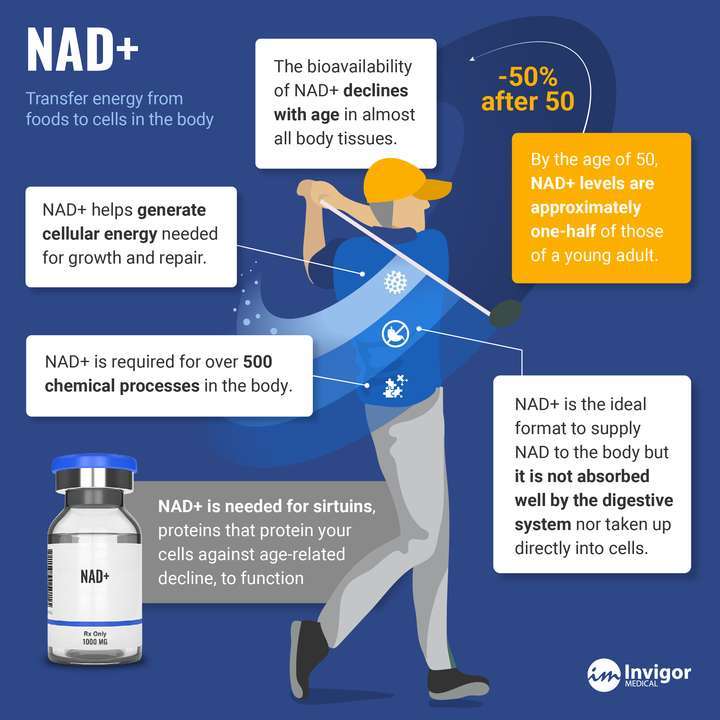 NAD+ Infographic